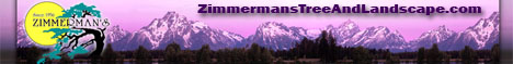 Zimmerman Tree & Landscape - Long Beach, CA